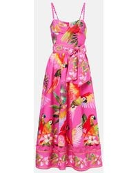FARM Rio - Printed Cotton Midi Dress - Lyst