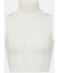 Max Mara - Oscuro Wool And Cashmere Turtleneck Top - Lyst