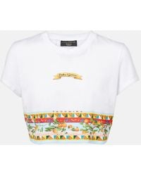 Dolce & Gabbana - Cropped Printed Cotton T-Shirt - Lyst