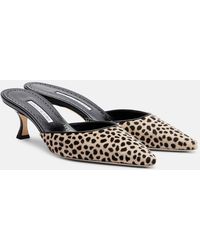 Manolo Blahnik - Carolyne 50 Leopard-Print Calf Hair Mules - Lyst