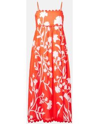 Juliet Dunn - Printed Scalloped Cotton Midi Dress - Lyst
