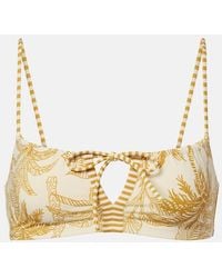 Eres - Reve Printed Bikini Top - Lyst
