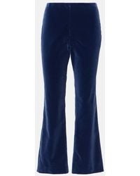 Blazé Milano - Schlaghose Jealousy Morelia Aus Samt - Lyst