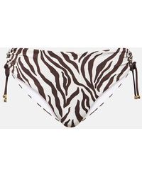Max Mara - Sibilla Zebra-print Bikini Bottoms - Lyst