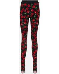 Dolce & Gabbana - Cherry-print technical jersey leggings - Lyst