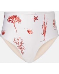 Agua Bendita - Magdalena Printed Bikini Bottoms - Lyst