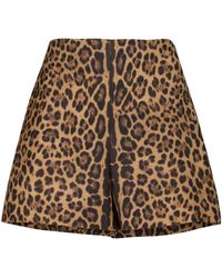 Valentino Leopard-print Wool And Silk Shorts - Multicolour