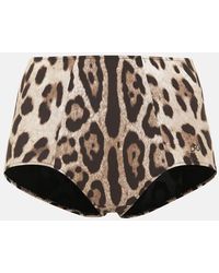 Dolce & Gabbana - Slip bikini con stampa leopardata - Lyst