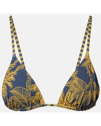 Eres - Hamac Printed Bikini Top - Lyst