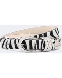 DEHANCHE - Hollyhock Zebra-Print Calf Hair Belt - Lyst