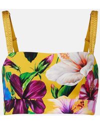 Dolce & Gabbana - Floral Silk-Blend Crop Top - Lyst