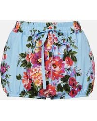 Dolce & Gabbana - Bedruckte Shorts Aus Baumwollpopeline - Lyst