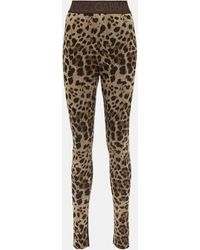 Dolce & Gabbana - Legging a taille haute et imprime leopard - Lyst