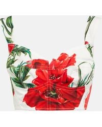 Dolce & Gabbana - Floral Cotton Crop Top - Lyst