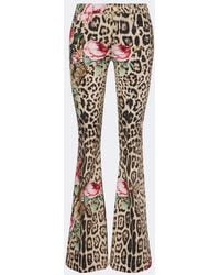 Roberto Cavalli - Leopard-Print Floral Flared Jeans - Lyst