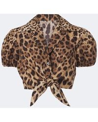 Dolce & Gabbana - Leopard-Print Cotton Crop Top - Lyst