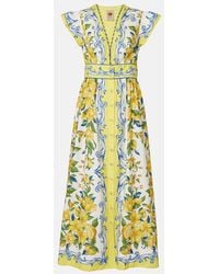 FARM Rio - Printed Cotton Midi Dress - Lyst