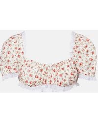 Dolce & Gabbana - Floral Lace-Trimmed Cotton Poplin Crop Top - Lyst