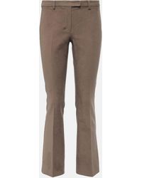 Max Mara - Orvieto Cotton-blend Jersey Straight Pants - Lyst