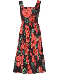 Dolce & Gabbana Midikleid Aus Popeline Anthurium-Print - Rot