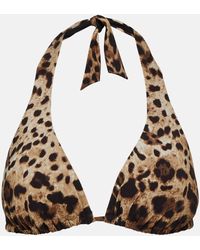 Dolce & Gabbana - Leopard-Print Bikini Top - Lyst