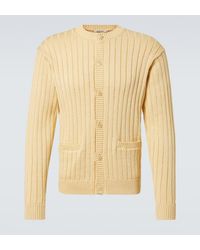 AURALEE - Ribbed-Knit Cotton Cardigan - Lyst