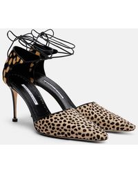 Manolo Blahnik - Gambis Printed Calf Hair Pumps - Lyst