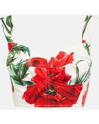 Dolce & Gabbana - Floral Cotton Crop Top - Lyst