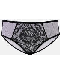 Dolce & Gabbana - High-Rise Lace And Tulle Briefs - Lyst