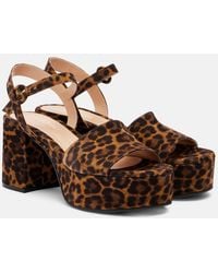 Gianvito Rossi - 35 Leopard-Print Leather Platform Sandals - Lyst