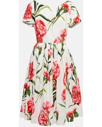 Dolce & Gabbana - Floral A-line Cotton Midi Dress - Lyst