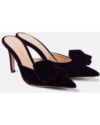 Gianvito Rossi - 85 Bow-Detail Velvet Mules - Lyst