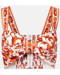 Dolce & Gabbana - Majolica Cotton Poplin Crop Top - Lyst