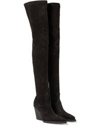 Paris Texas Suede Over-the-knee Boots - Black