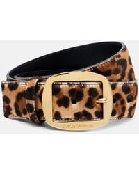 Dolce & Gabbana - Leopard-Print Calf Hair Belt - Lyst