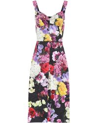 Dolce & Gabbana Bedrucktes Kleid mit Baumwollanteil - Mehrfarbig