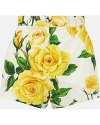 Dolce & Gabbana - Floral High-rise Cotton Shorts - Lyst