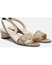 Manolo Blahnik - Patobarnu 30 Lizard-Effect Leather Sandals - Lyst