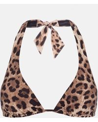 Dolce & Gabbana - Leopard-print Bikini Briefs - Lyst