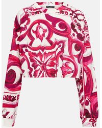 Dolce & Gabbana - Sweatshirt Majolica aus Baumwoll-Jersey - Lyst