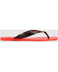 Naked Wolfe - The Surfing Thong/ Jelly - Lyst