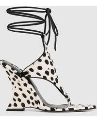 Naked Wolfe - Rampage Dalmation Pony - Lyst