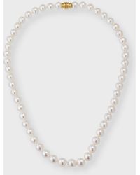 Assael - Akoya Pearl Necklace With 18k Yellow Gold Clasp - Lyst
