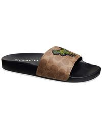 coach slides mens