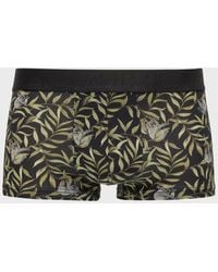 Hom - Ted Printed Trunks - Lyst