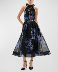 Rebecca Vallance - Florentine Floral- Cutout Midi Dress - Lyst