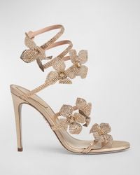 Rene Caovilla - Floraine Crystal Flowers Ankle-Wrap Sandals - Lyst