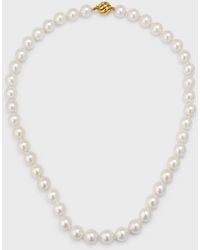 Belpearl - 18k Yellow Gold Akoya Cultured Pearl Necklace - Lyst