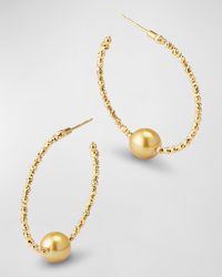 Pearls By Shari - 18k Yellow Gold Sparkle Bangle Hoop Earrings With Golden South Sea Pearls - Lyst