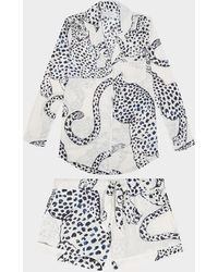 Desmond & Dempsey - Leopard Print Classic Short Pajama Set - Lyst